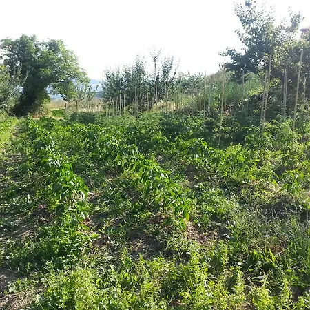 Alojamento de Turismo Rural Eutopia *